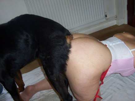 Big ass women knotted ass to ass