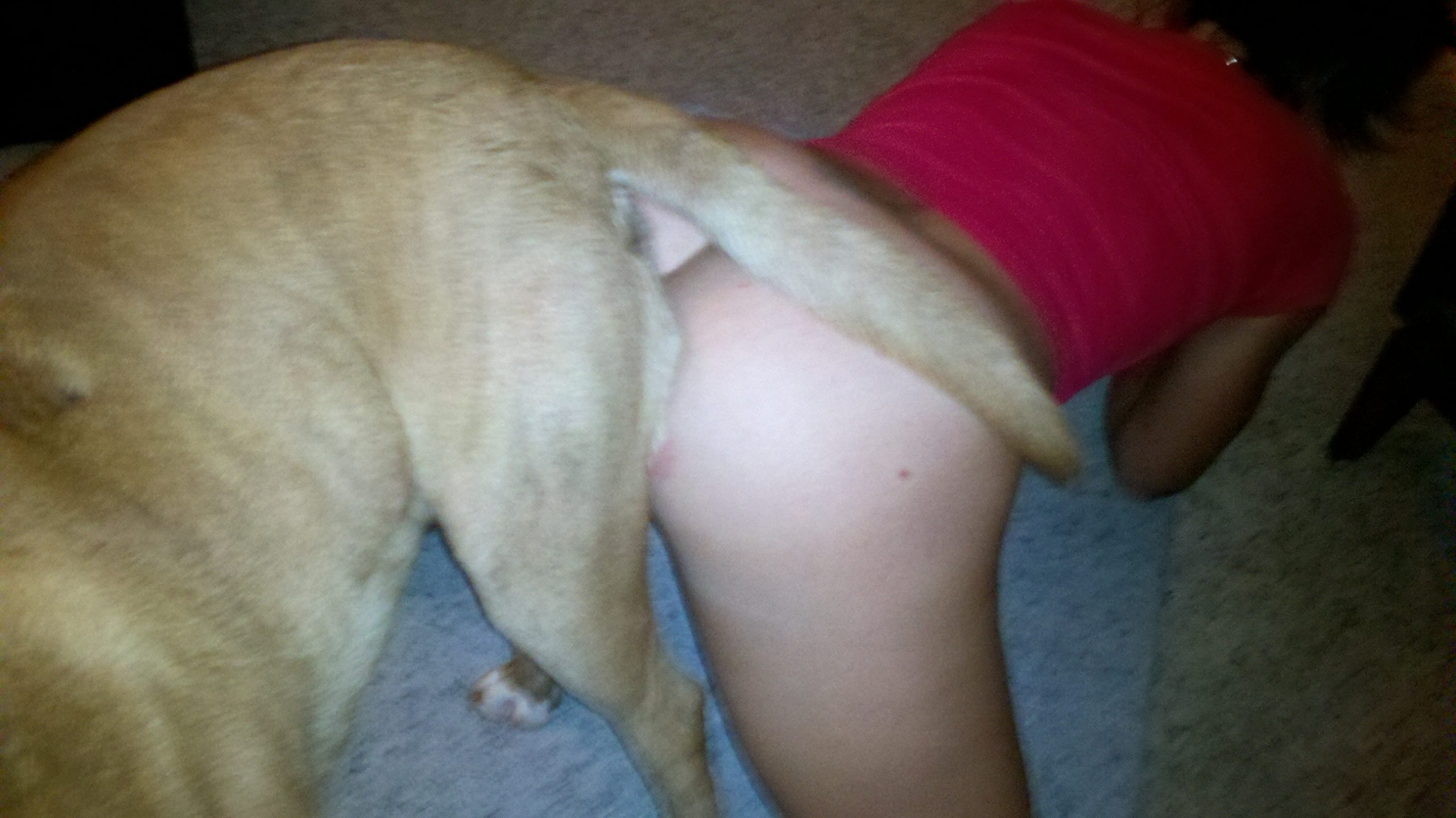 Perfect knot dog fuck