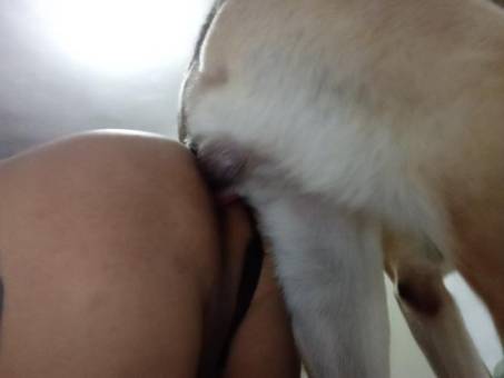 Mom fuck dog secretly