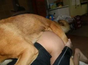 Webcam girl fuck by dog