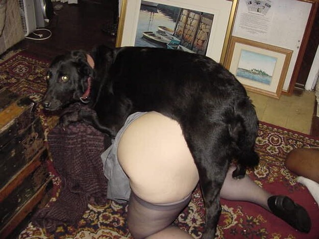 Lucky dog fuck Bbw