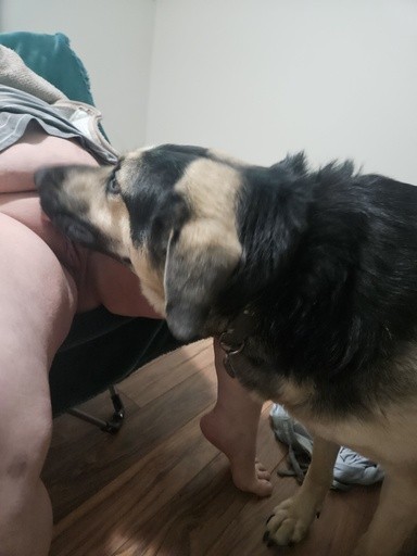 Bbw lick & fuck by dog