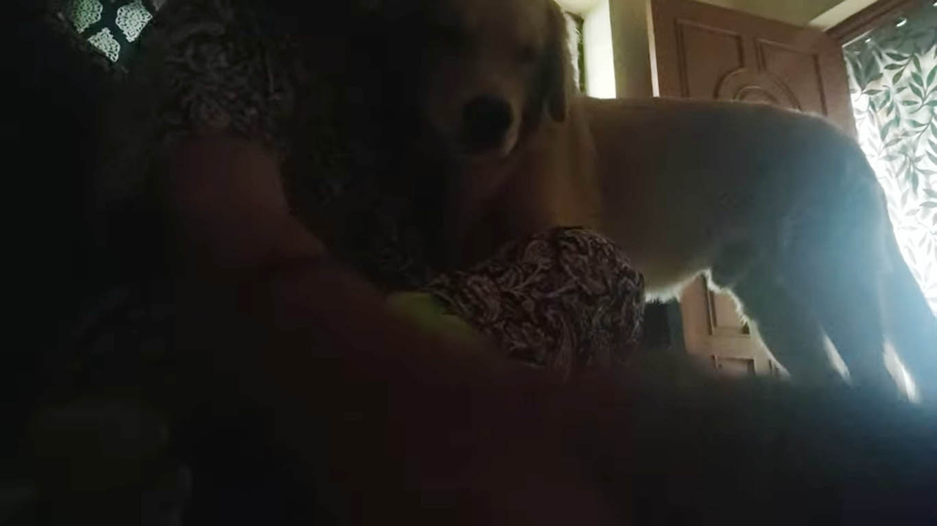 Horny mommy love dog dick