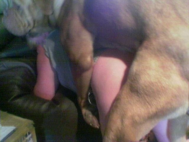 Dog fucks big booty wife
