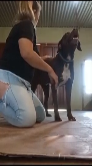 Housewife secret video leaked 1