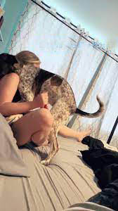 Try missionary on the bed