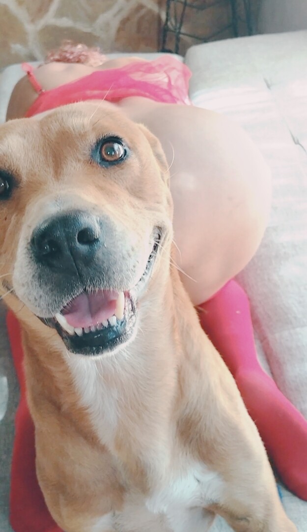 Big ass wife dog fuck