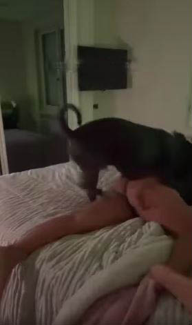 Costa Rica’s wife Knot