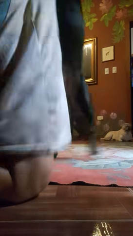 Chile mature mom 2 dogs fuck